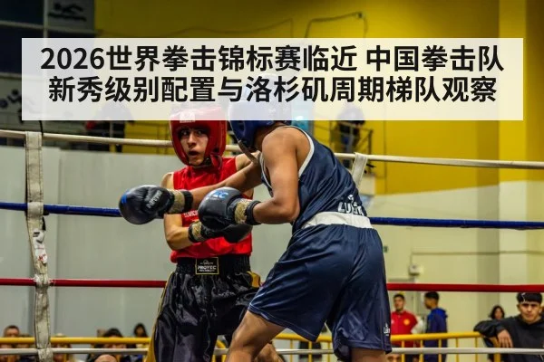 2026世界拳击锦标赛临近 中国拳击队新秀级别配置与洛杉矶周期梯队观察
