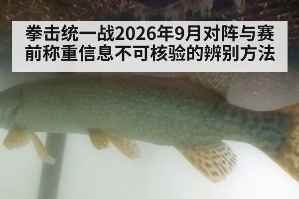 拳击统一战2026年9月对阵与赛前称重信息不可核验的辨别方法